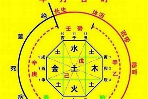 喜用神分析|八字入门基础 第六篇 如何判断八字喜用神